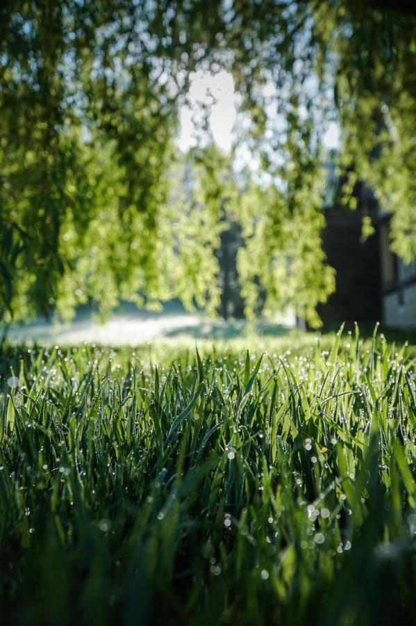 L'Herbe Haute Honfleur Esterno foto